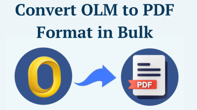Convert OLM to PDF in Bulk
