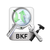 scan and load bkf file